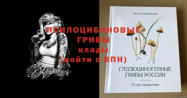 шишки Бугульма