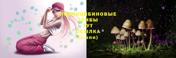 скорость Бородино